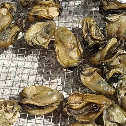 深圳牡蛎干 蚝干 蚝油