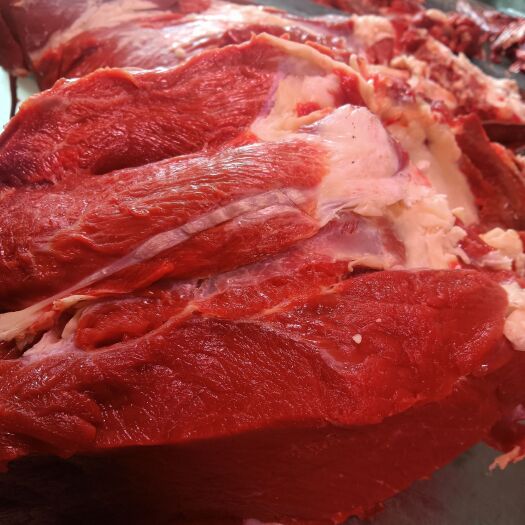 牛肉类 正宗青藏高原牦牛肉