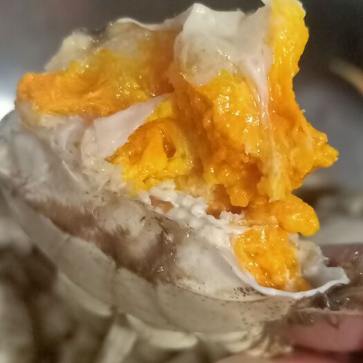安丘市 大闸蟹