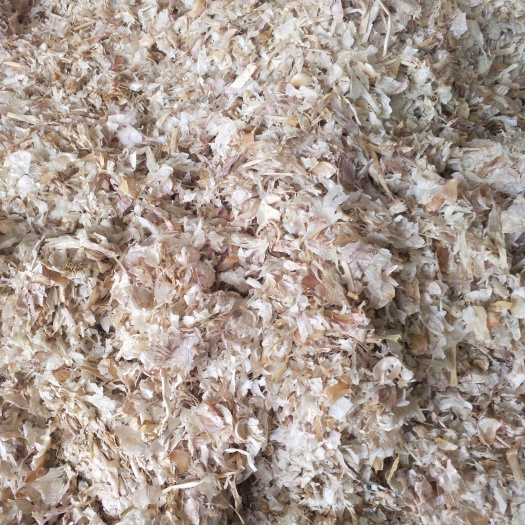 金乡县大蒜皮 优质蒜皮大量供应