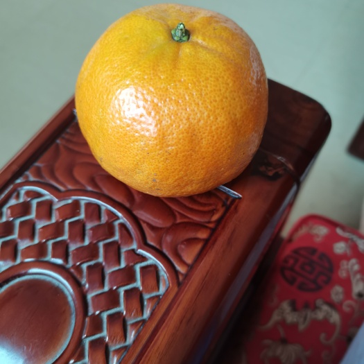 南靖县 福建茂谷柑，自家种植，皮薄多汁。