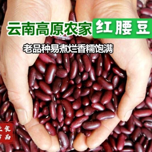 昆明云南红豆红腰豆5斤农家自产红芸豆