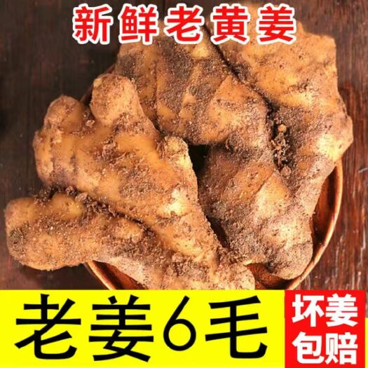 淄博 【现挖现发】生姜批发老姜批发老生姜老姜批发生姜批发老姜批发价