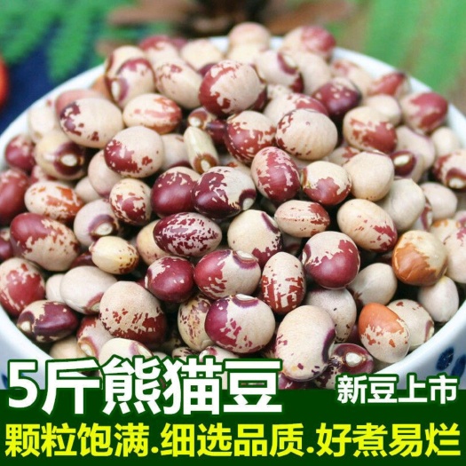 昆明云南熊猫豆农家自产奶小花芸豆猫眼豆花豇豆饭豆豆类杂粮