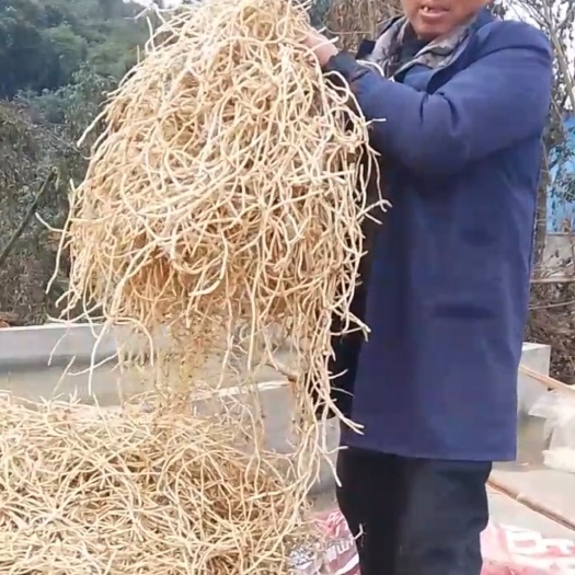 眉山红茎鱼腥草 正宗四川眉山折耳根鱼腥草猪屁股新鲜蔬菜