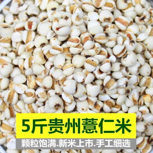 昆明 薏仁米五谷杂粮新货薏仁米薏米仁贵州大薏米