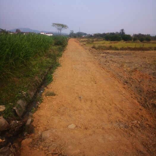 九江水田 土地出租九江市