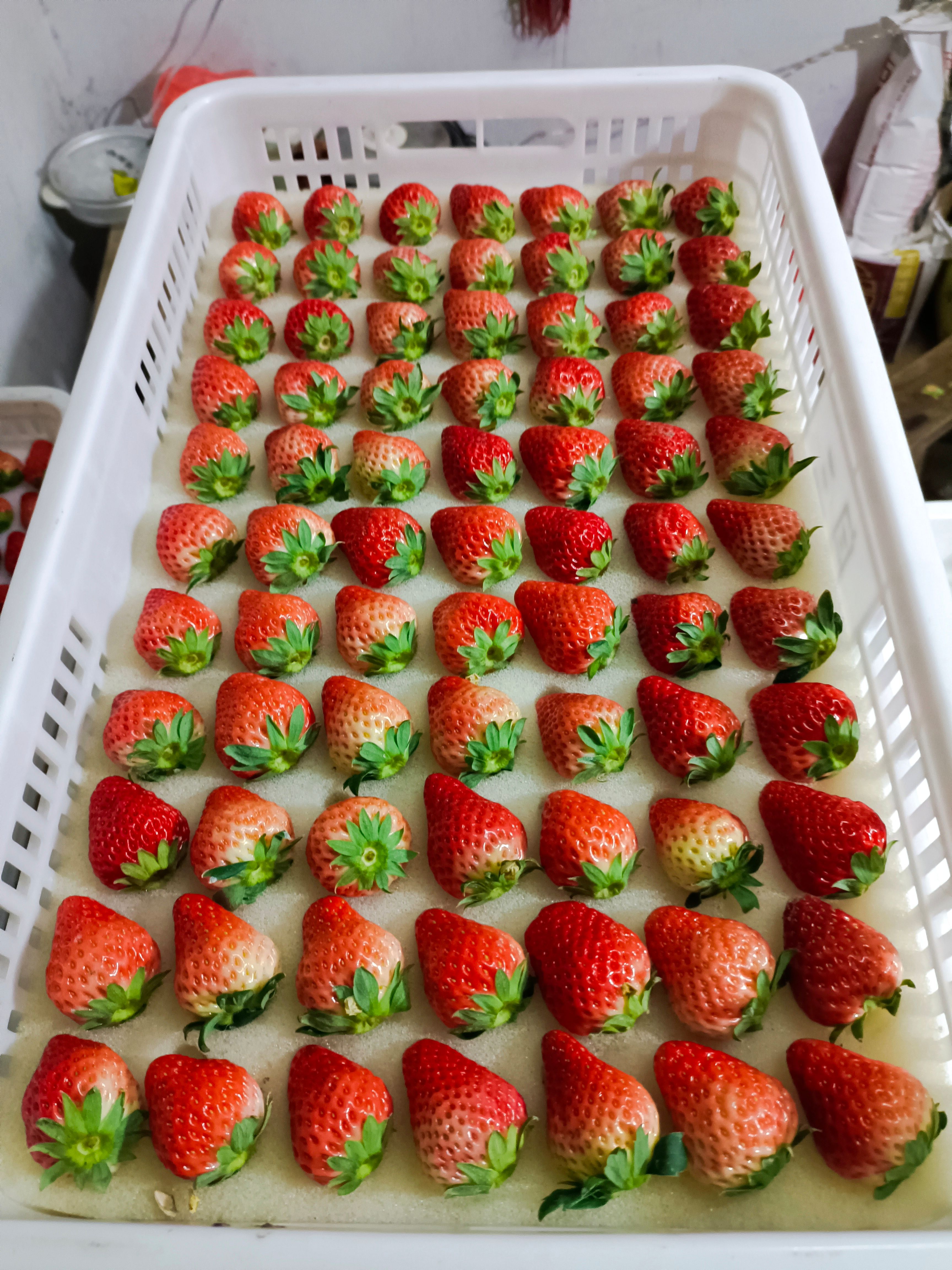 长丰草莓，红颜草莓一手货源！