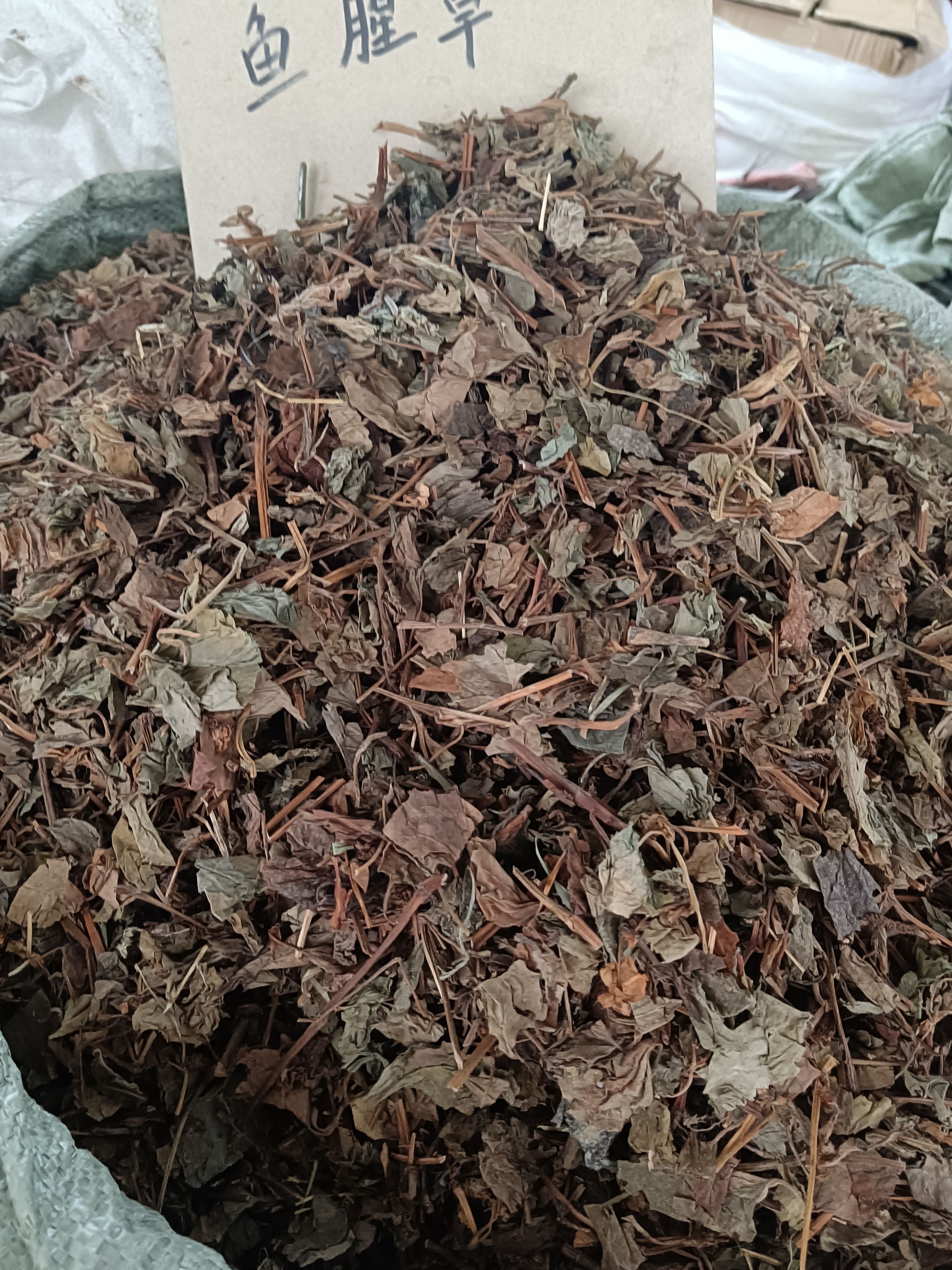 优质野生中草药鱼腥草量大从优另有扎把鱼腥草