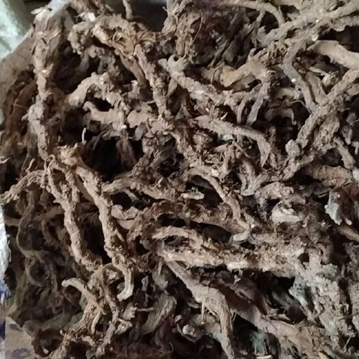 石阡县贵州铜仁农副土特产品中药材石菖蒲干品产地直发一手货源