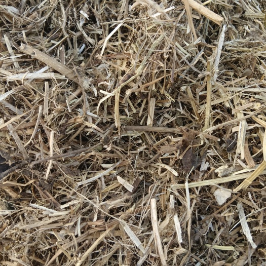 花生秧 黄白草带绿三无产品无土无膜无霉变保质保量！黄白带绿