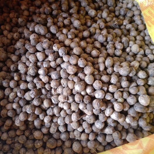 肥东县鲜芡实 鸡头果