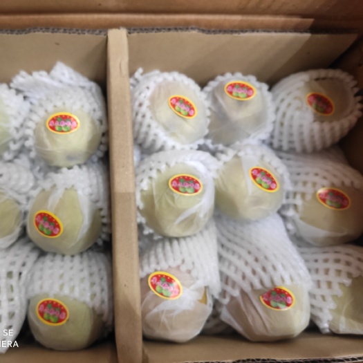 成都【年货推荐】正宗新疆库尔勒香梨全母梨带箱10斤装
