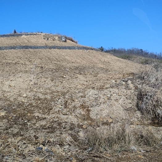 鹤峰县山地 土地