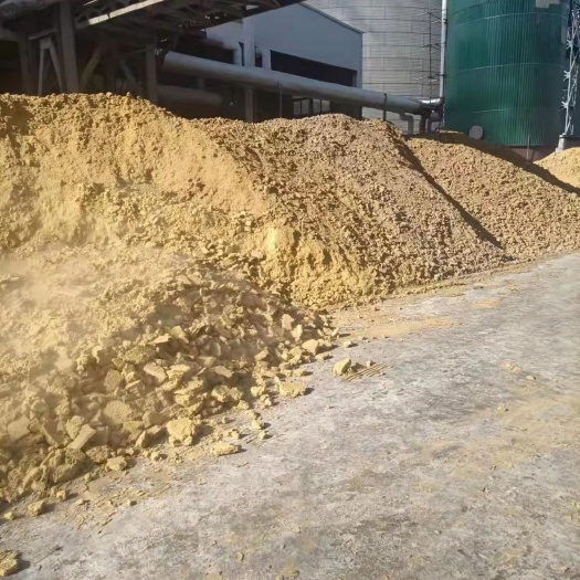 临朐县谷物饲料 湿玉米渣水分40左右，又称柠檬酸渣散装