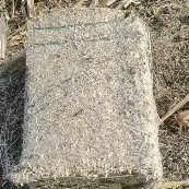 大名县玉米秸秆 牛 羊 马 