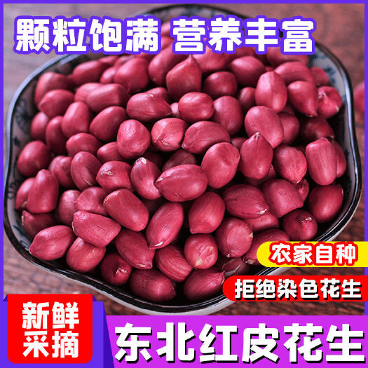 花生米【东北花生】新鲜红皮白沙花生米，商用(无壳)花生米
