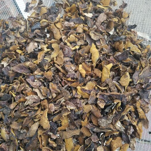  松蘑片，优质松蘑片，煮汤，炒炖，做馅最理想的食材
