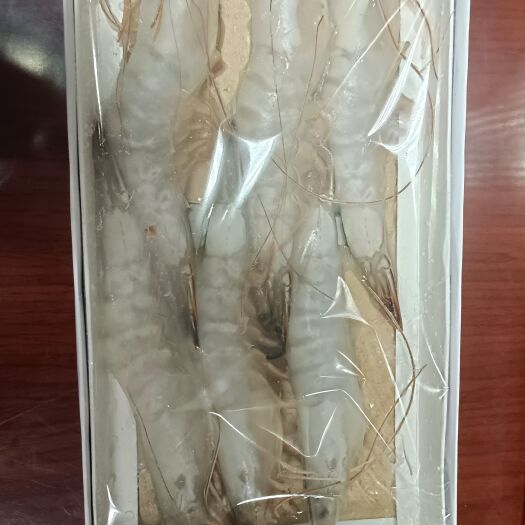中国对虾 冷冻水产 
