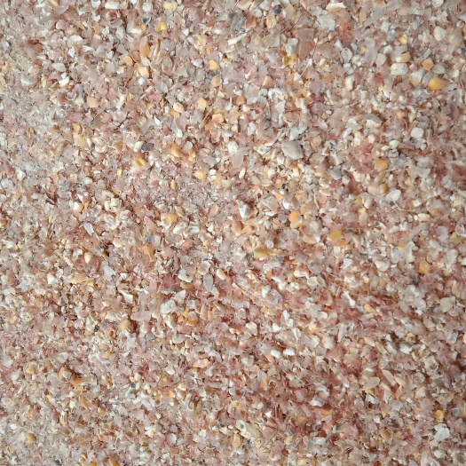 临沂玉米糠 鸡 鸭 鹅 牛 羊