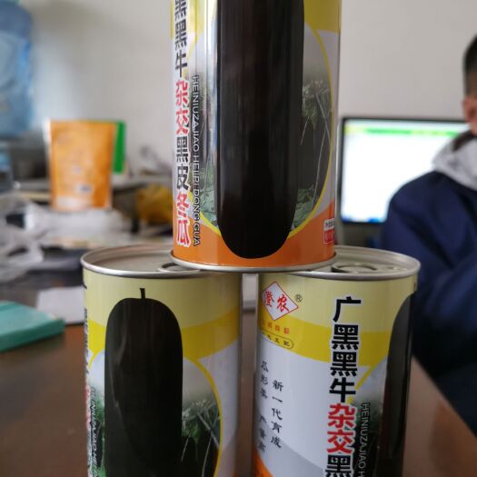 成都冬瓜种子 广黑黑牛杂交黑牛冬瓜