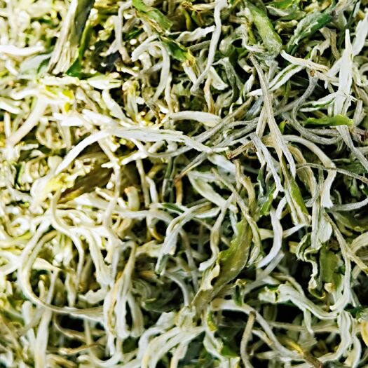 临夏县毛尖茶 春尖茶叶春尖绿云雾茶2021新茶叶特级春尖