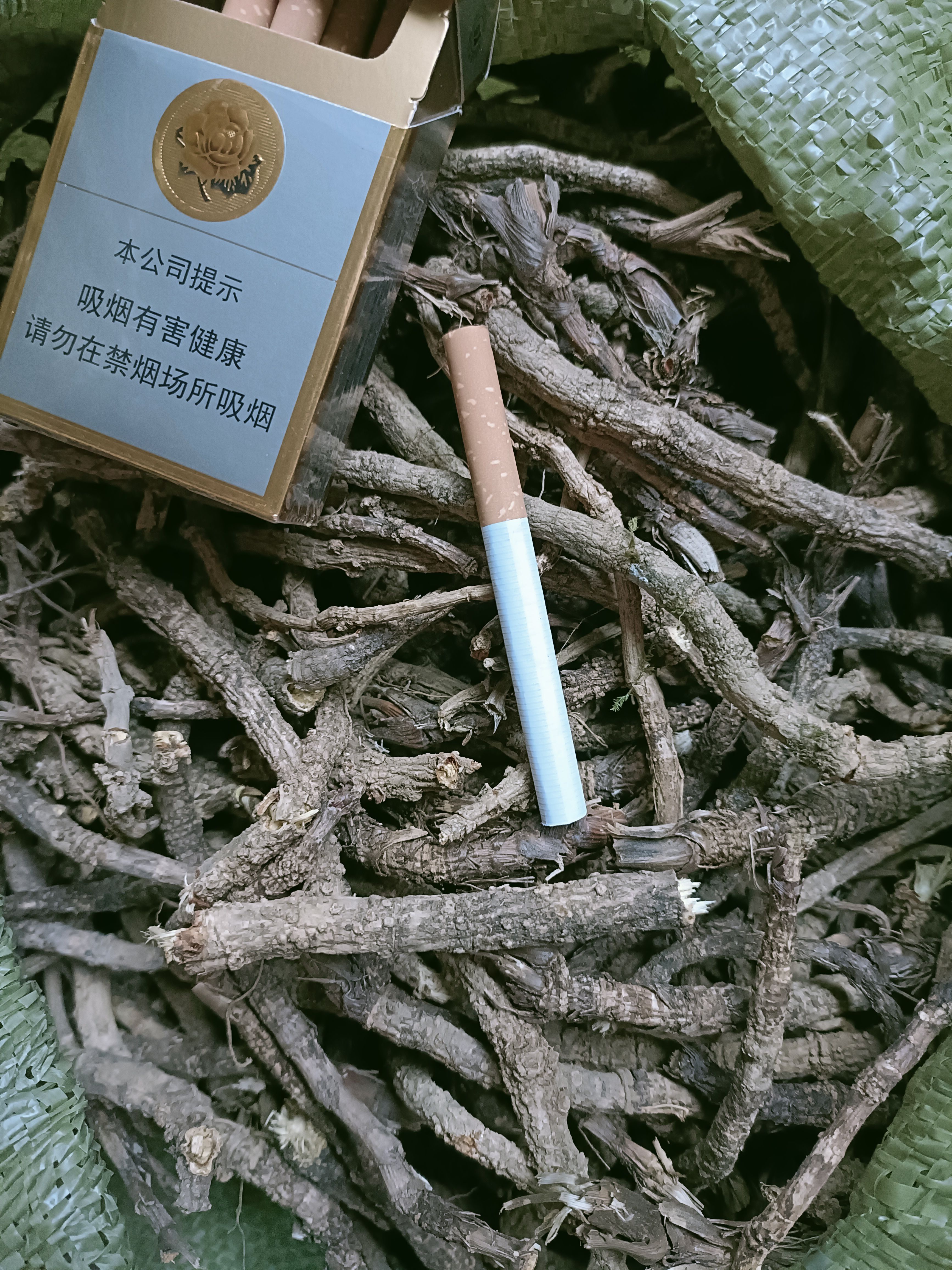 防风，正品竹节防风，非种植，YE生大山重庆产地一手货源