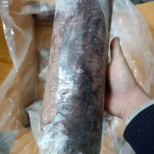 北海皮氏枪乌贼  北部湾海产新鲜单冻软鱿、口感脆甜，适合各界餐饮行