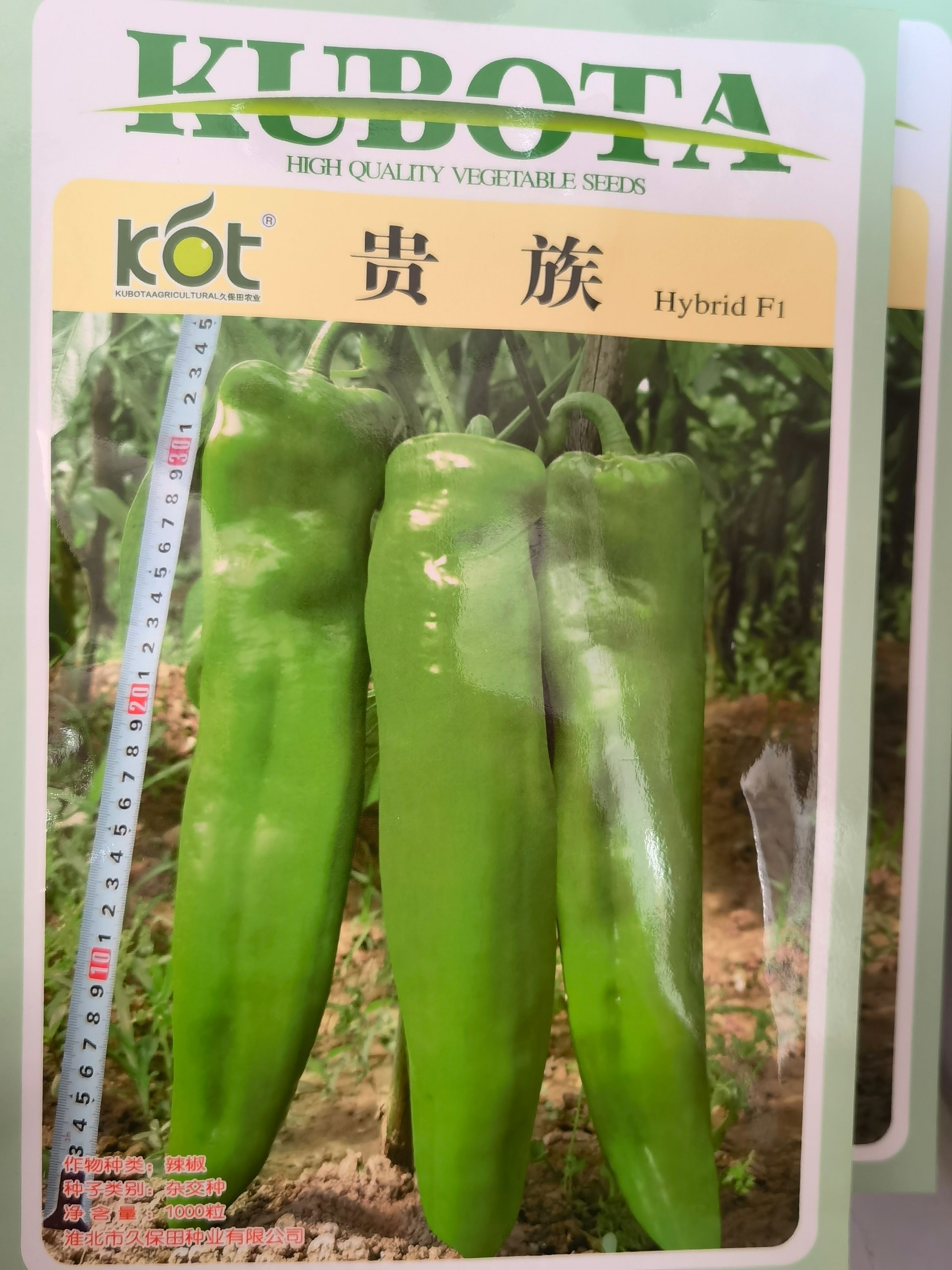 螺丝椒一号种子 螺丝椒宫崎
