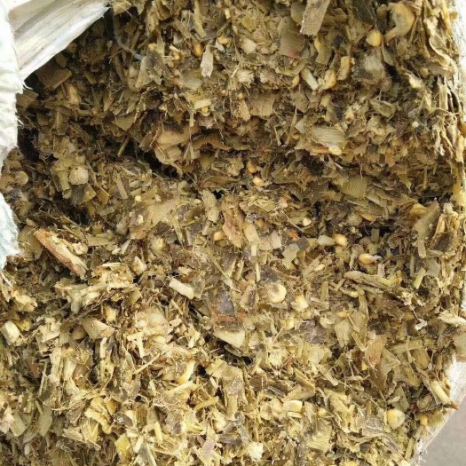 唐山玉米青贮 全株玉米，干物质，20到30的都有