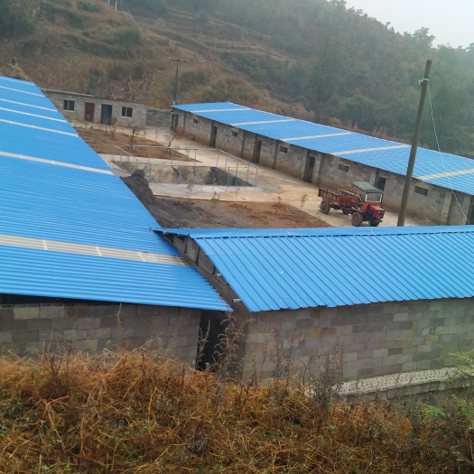畜牧养殖用地 畜牧业用地养殖场标准牛羊养殖场出租出售
