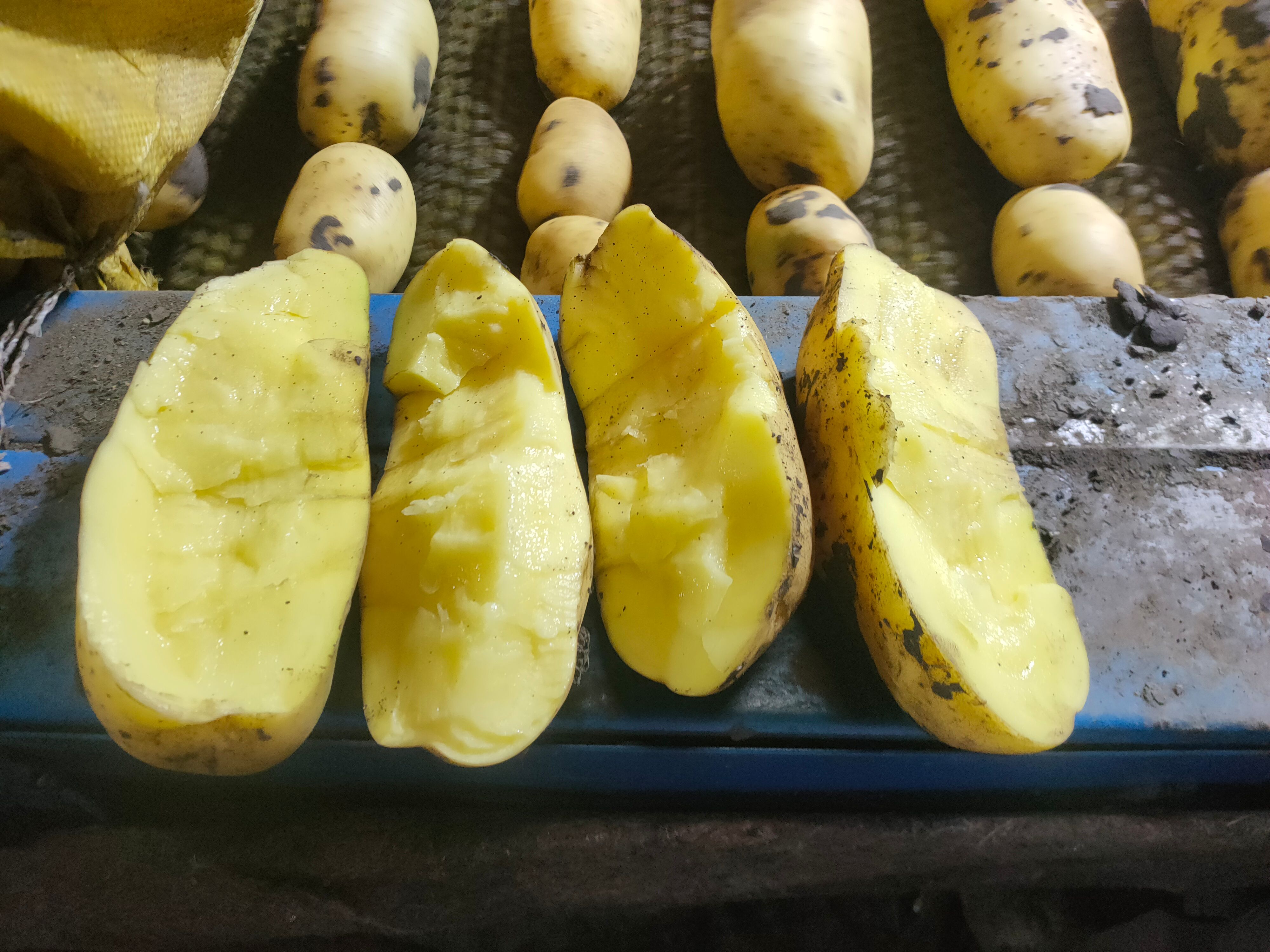 黄心土豆  个头大小还可以，就是有点黑呢，嘎嘎好吃