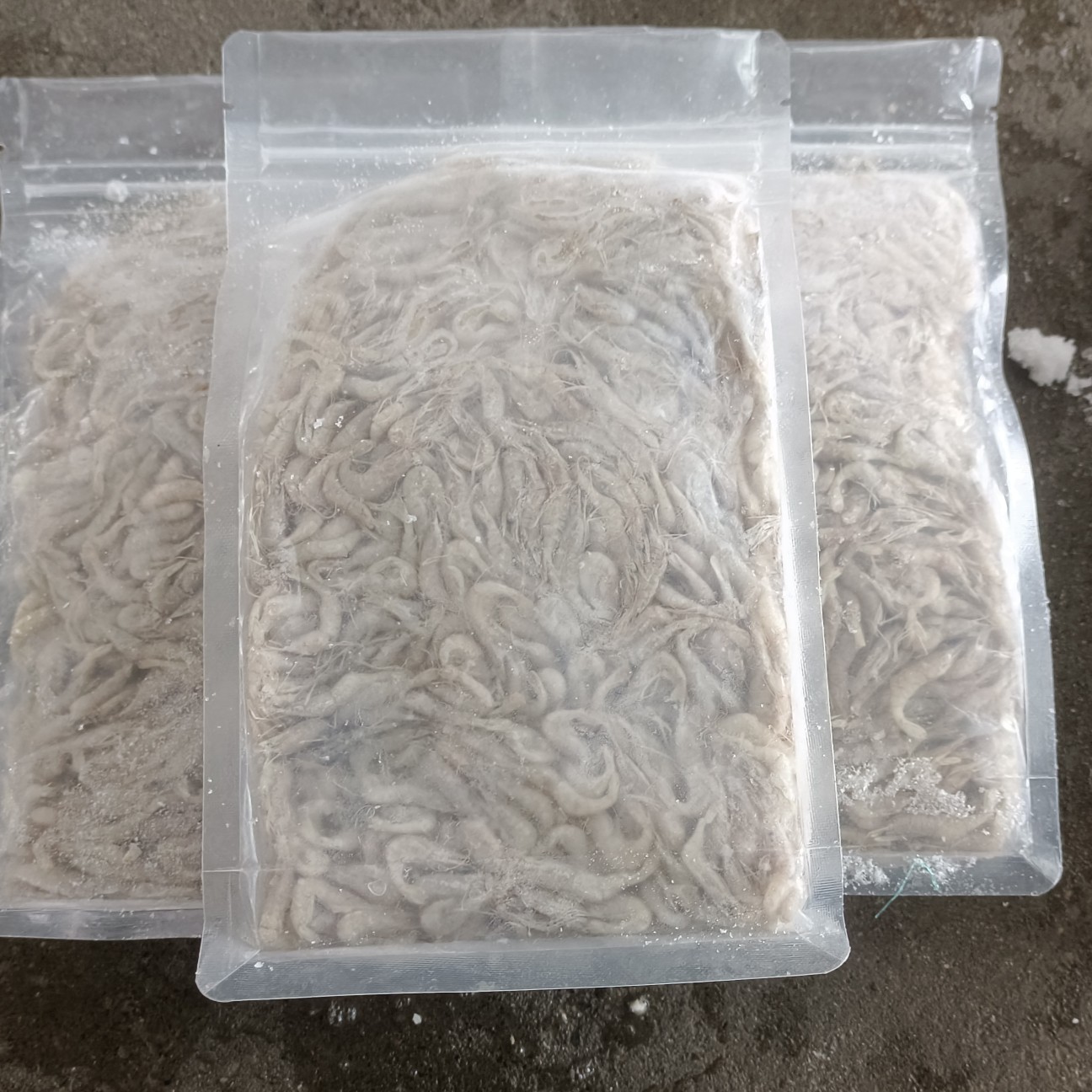 潜江市速冻板米虾:河虾:全国发货:产地直发，一手货源