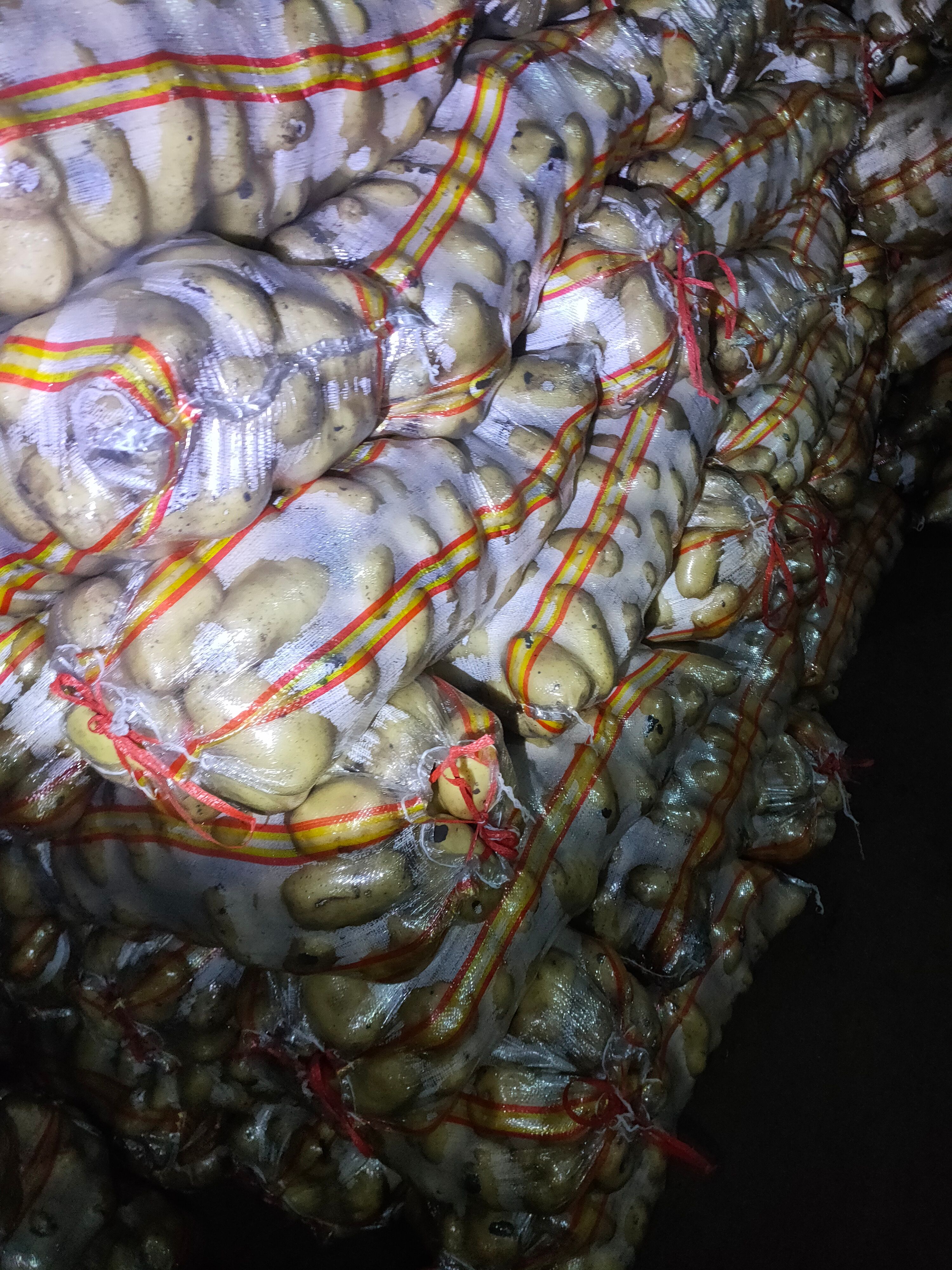 黄心土豆  个头大小还可以，就是有点黑呢，嘎嘎好吃