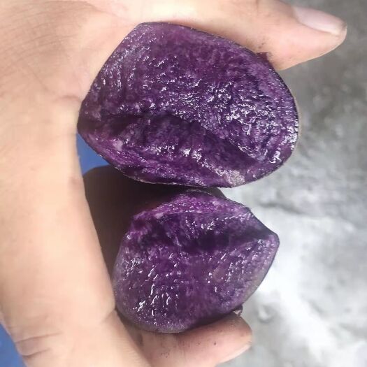 定西甘肃定西黑土豆，量大从优！