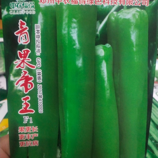 扶沟县牛角椒种子 辣椒种子 青果 果长，丰产，抗病 果型长