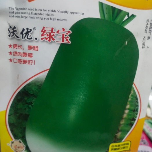扶沟县萝卜种子 沃优绿宝、粗绿肉更多，口感好！皮色青绿、