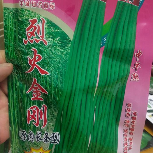 长豆角种子 厚肉长条型 耐热 荚长85厘米左右 采收期长