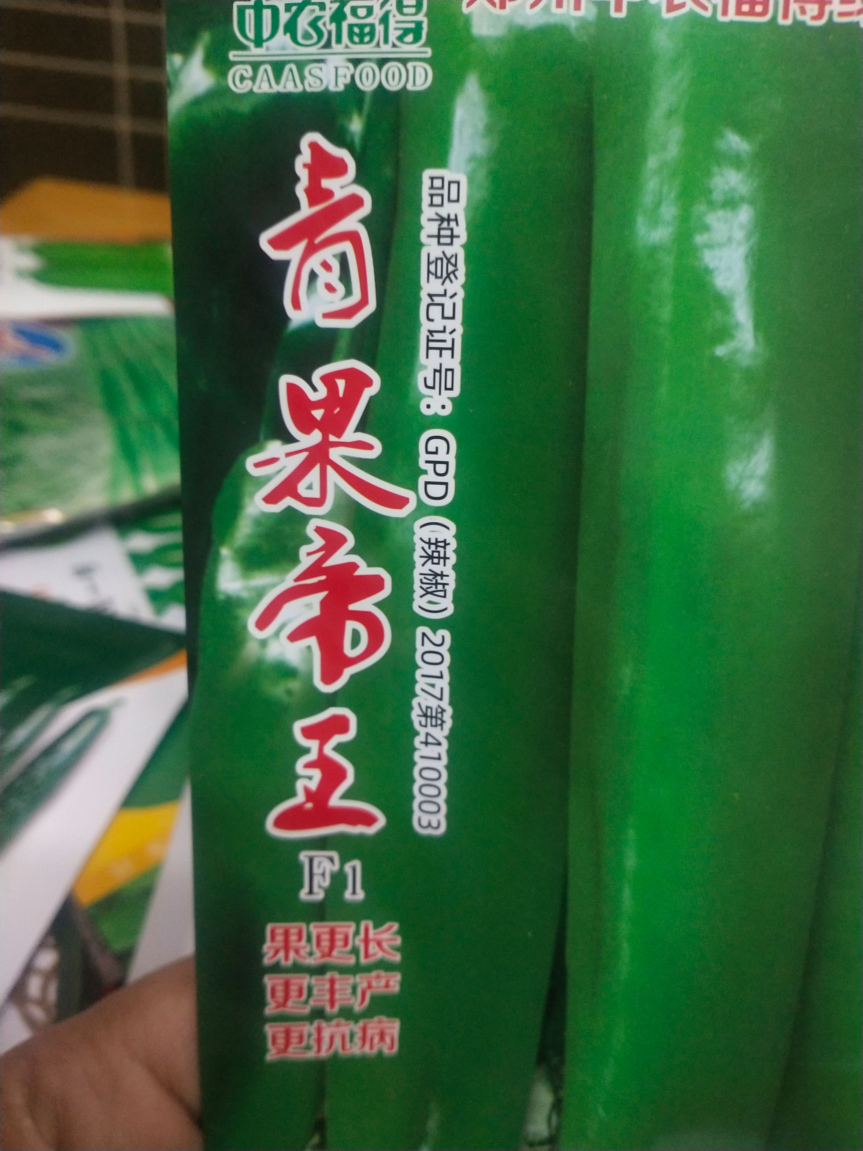 牛角椒种子 辣椒种子 青果 果长，丰产，抗病 果型长