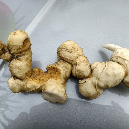 宣汉县 新鲜黄精