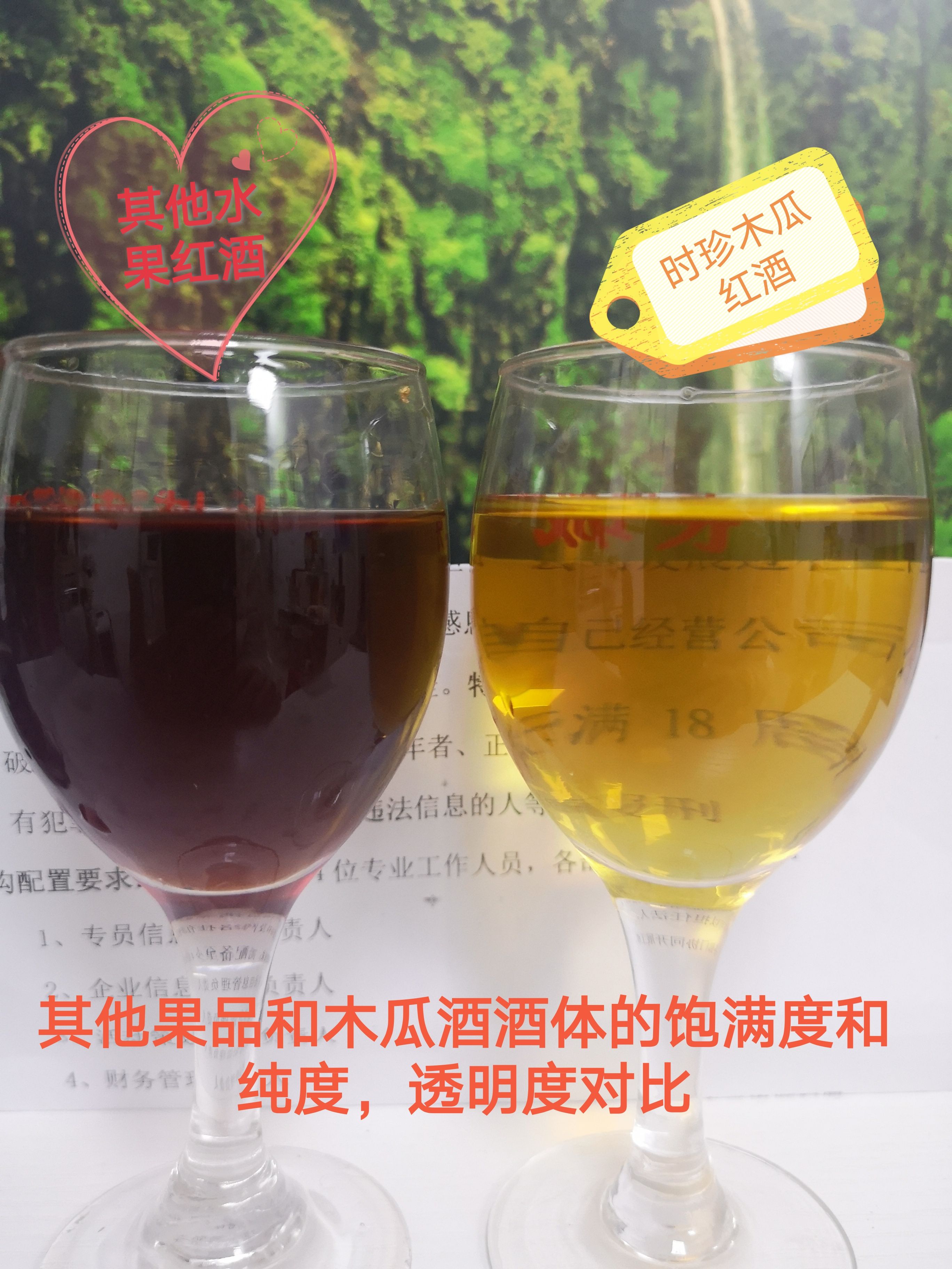 木瓜 皱皮木瓜™42º/13°木瓜酒2瓶