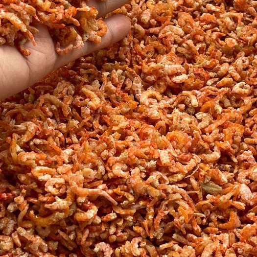 广州红虾干 虾米淡干虾仁虾米干货纯虾肉小虾米海味干货海虾米