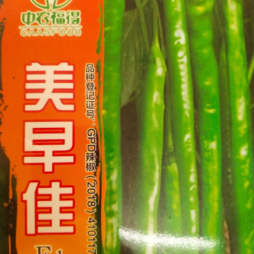 扶沟县线椒种子 美早佳 早熟 浅绿皮长 亩3袋