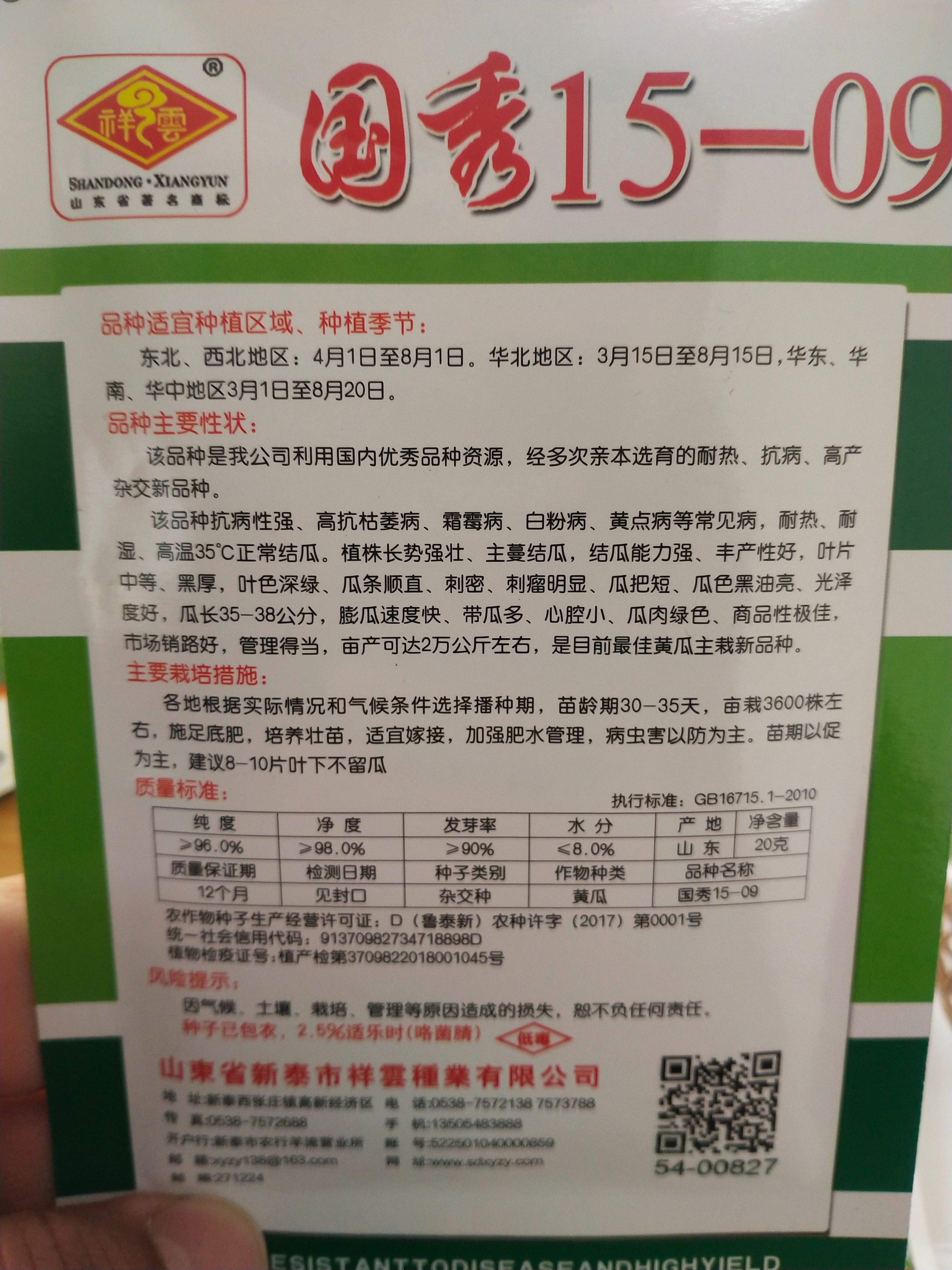 黄瓜种子 油亮型 黑厚，叶色深绿、瓜条顺直、刺密、刺瘤明显