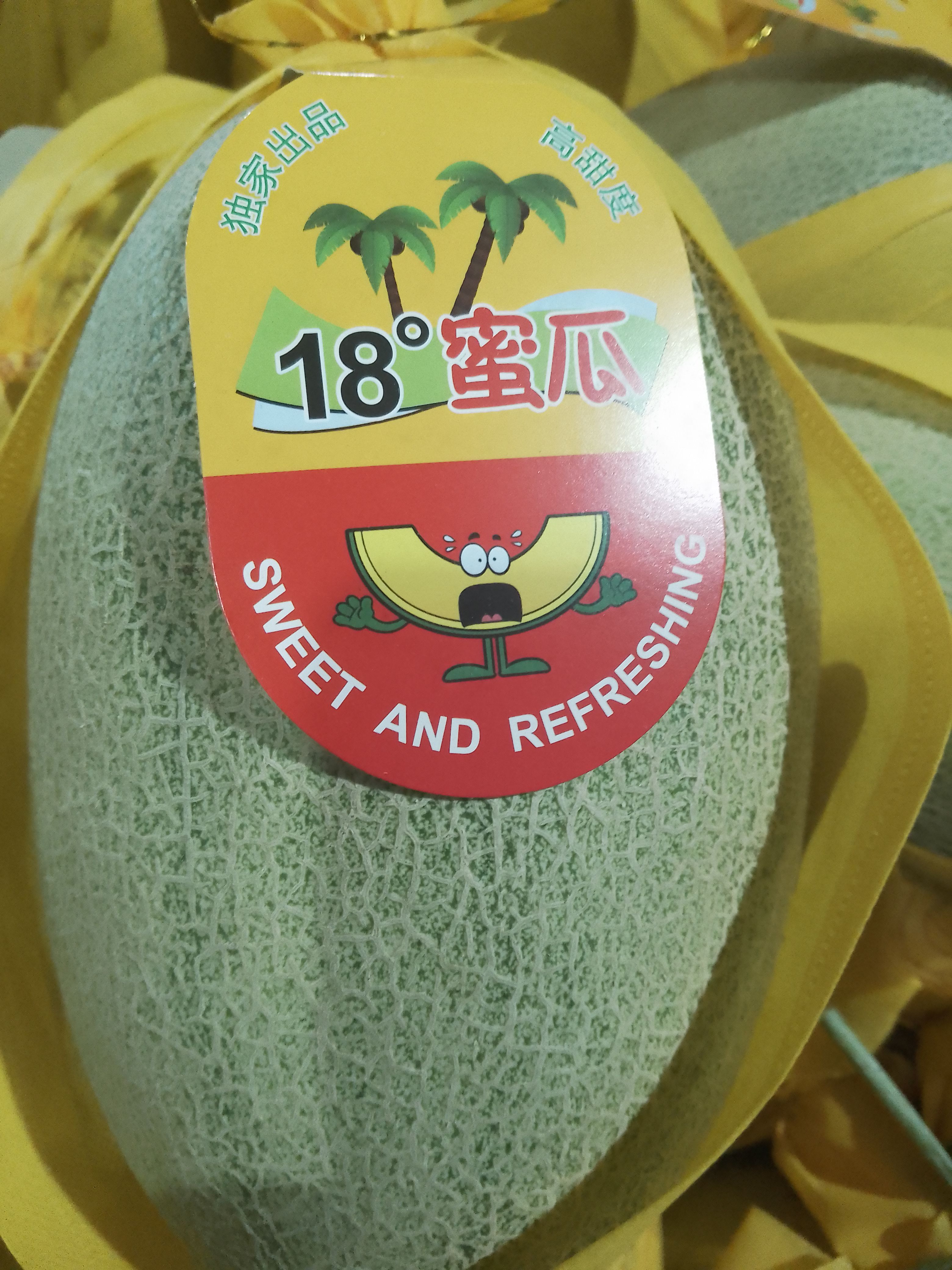 晓蜜25号 海南沙地大棚哈密瓜种植基地小蜜25号