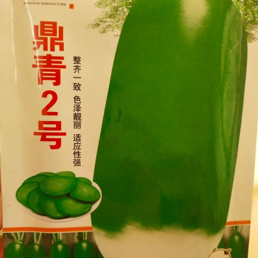 扶沟县青萝卜种子 鼎青2号 肉绿色 爽脆圆柱形 表皮光滑
