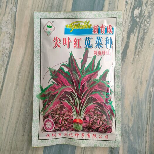 湘乡市尖叶红苋菜种子 红柳叶苋菜种子基地家庭春夏秋播种 250g