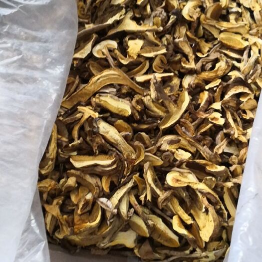 随县黄牛肝菌 干牛肝菌 