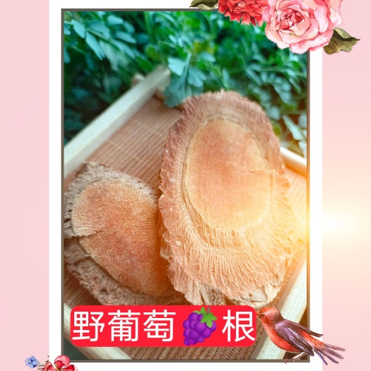 葡萄藤 葡萄根  绿葡萄根云南货500克包邮高含量