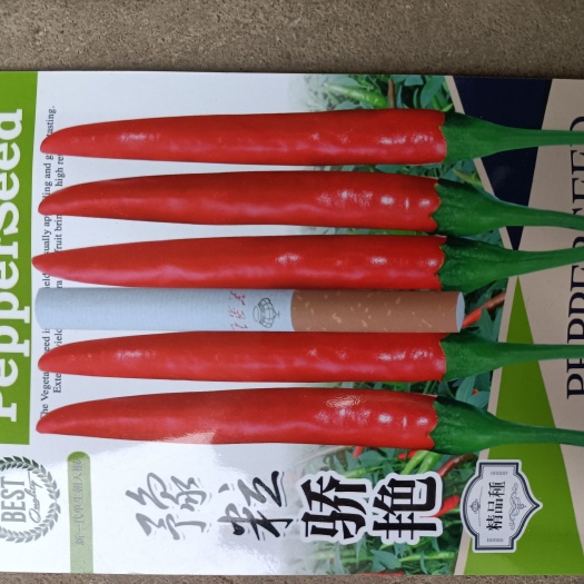 朝天椒种子  辣椒种子，艳红小米辣大果型，产量高，抗病强包回